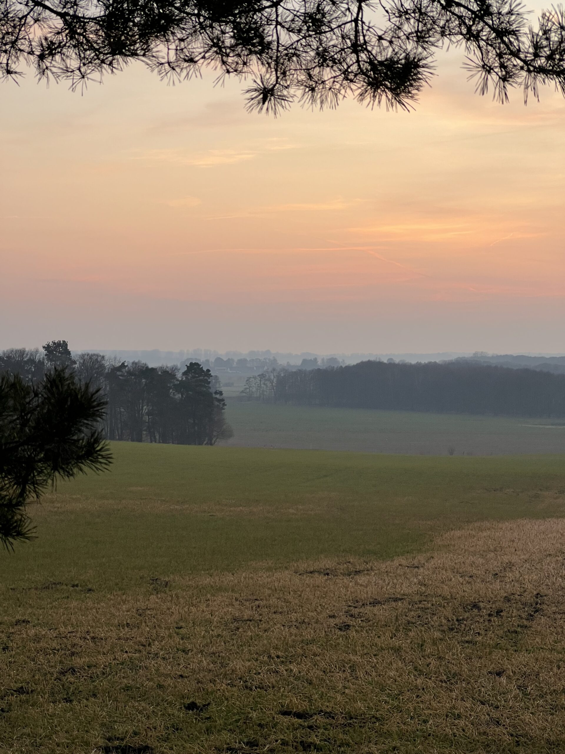 Kennt Ihr dieses Usedom-Gefühl, wenn man auf der Insel unterwegs ist und denkt, man läuft durch ein Caspar-David-Friedrich-Gemälde?