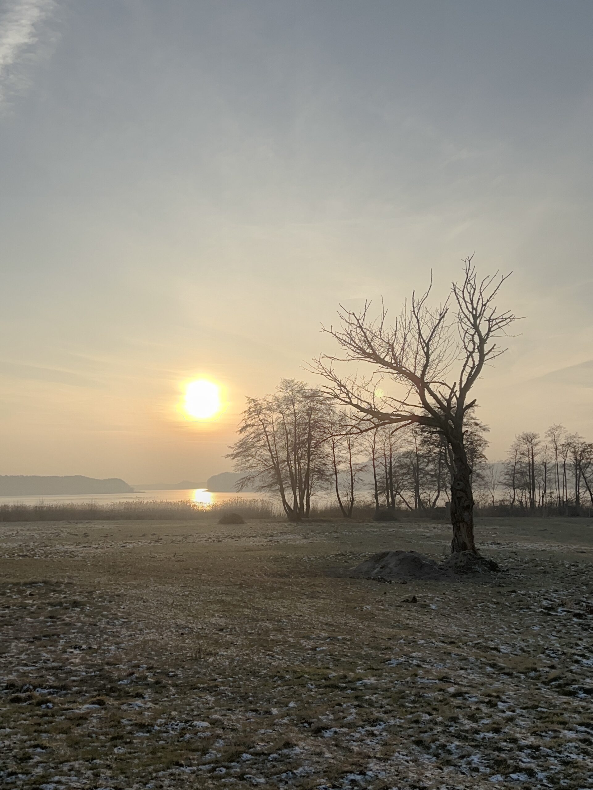 Rund um Heringsdorf bei zauberhaftem Winterlicht