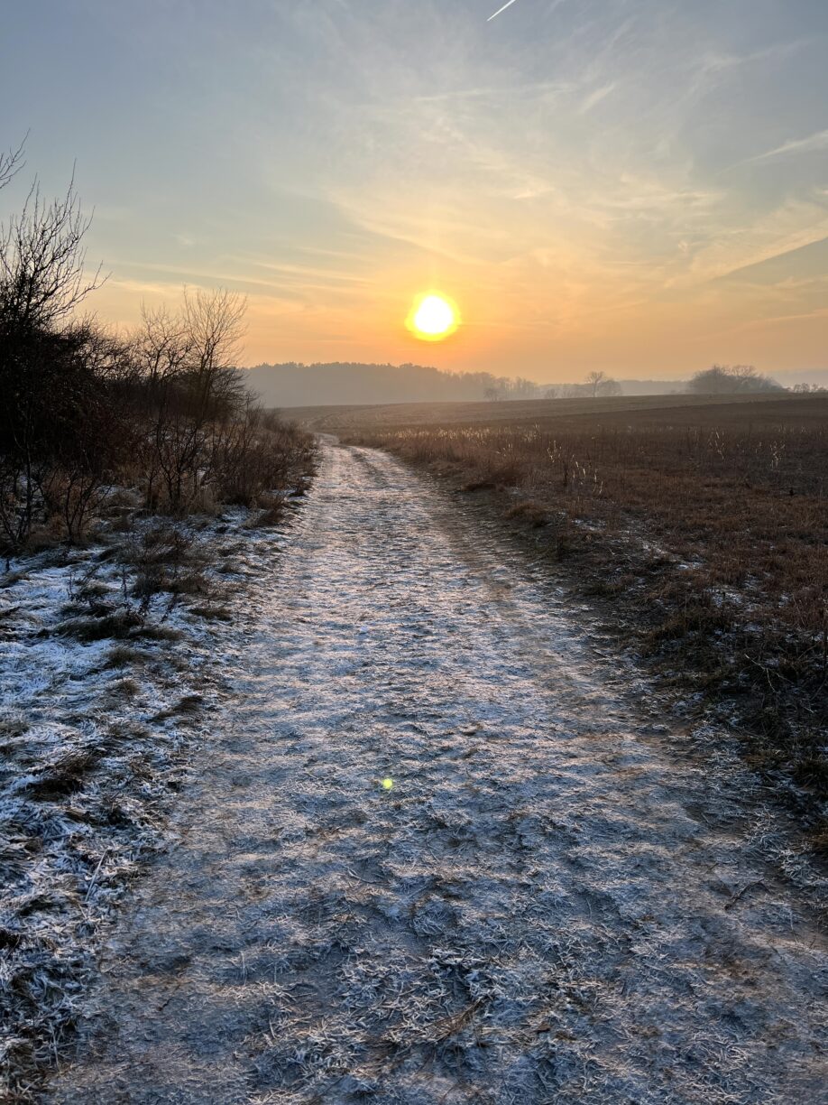 Rund um Heringsdorf bei zauberhaftem Winterlicht