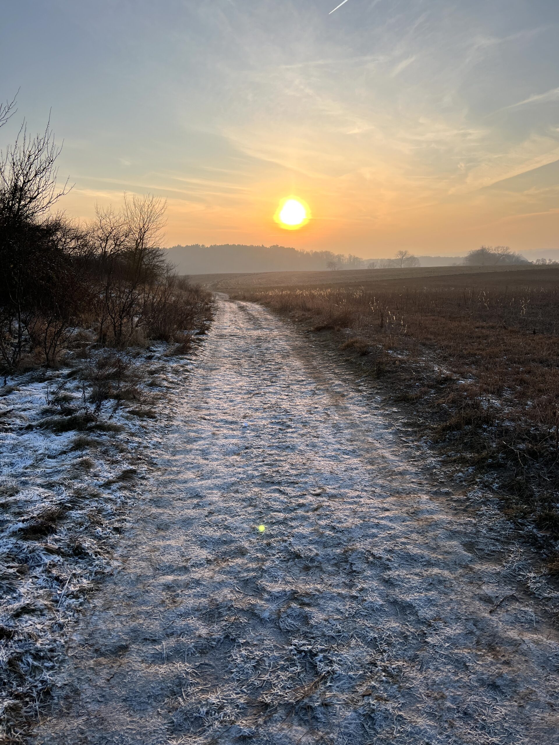 Rund um Heringsdorf bei zauberhaftem Winterlicht