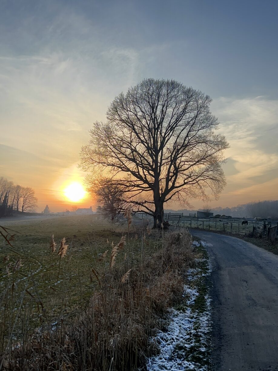 Rund um Heringsdorf bei zauberhaftem Winterlicht