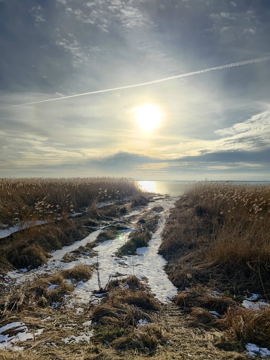 Das komplett zugefrorene Achterwasser vom Loddiner Höft aus 👀♥️