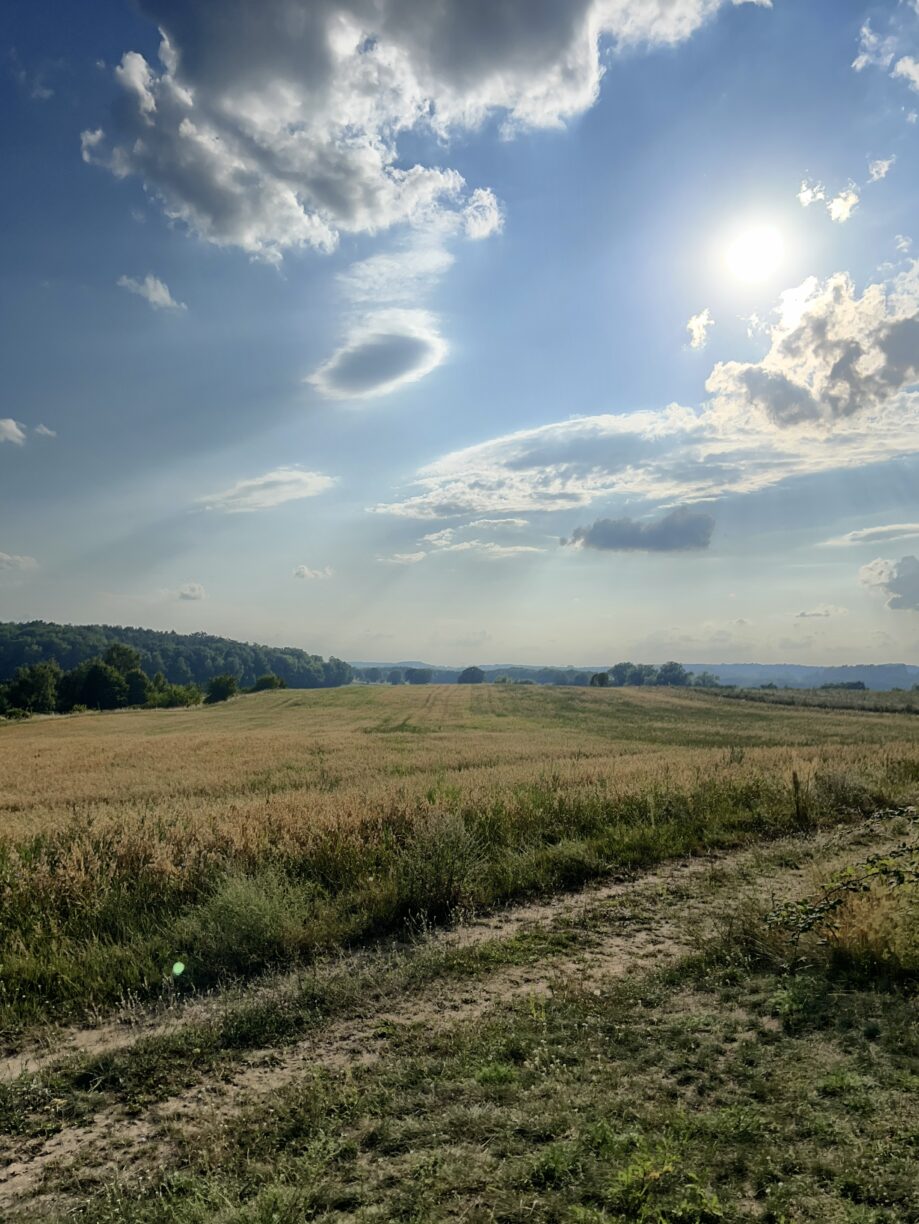 Heringsdorf Neuhof: Bank mit schönem Blick über die Felder